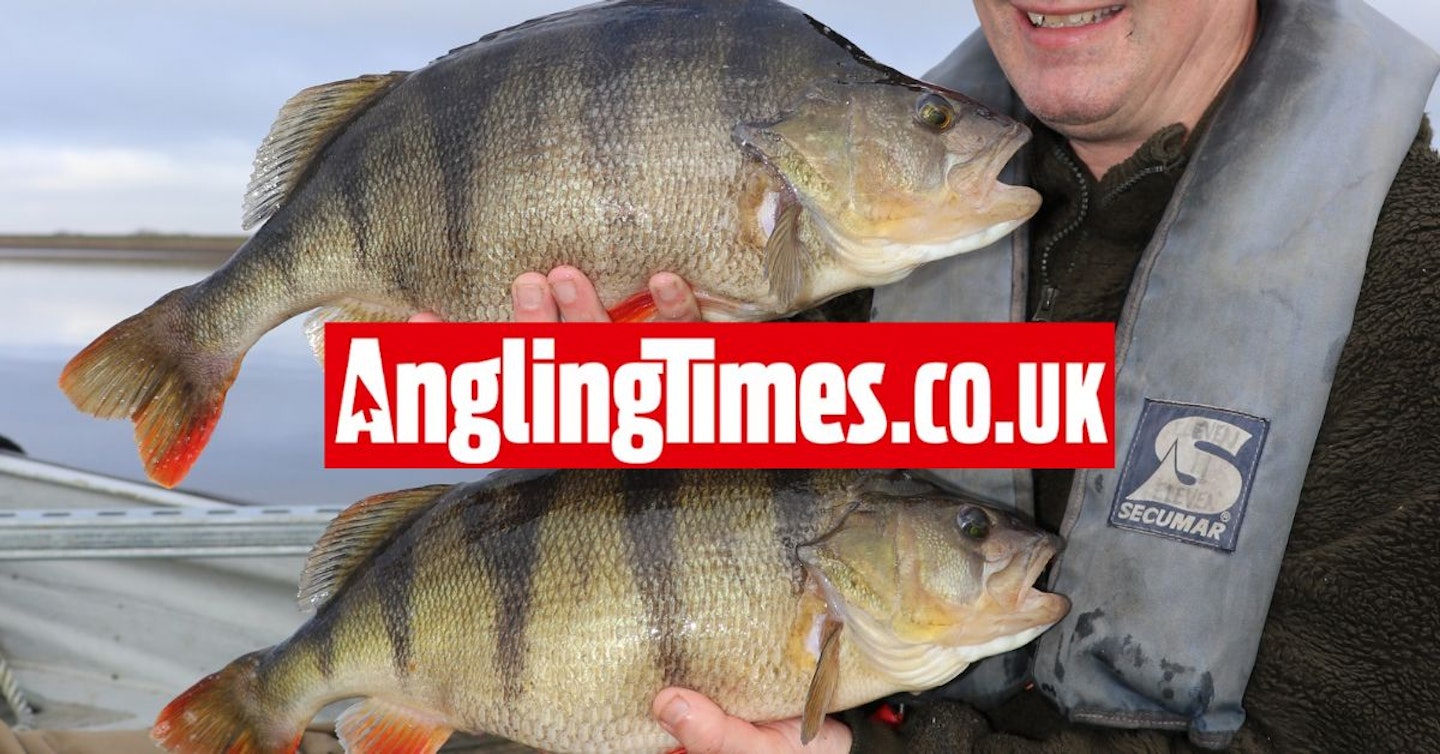 Monumental brace of perch banked