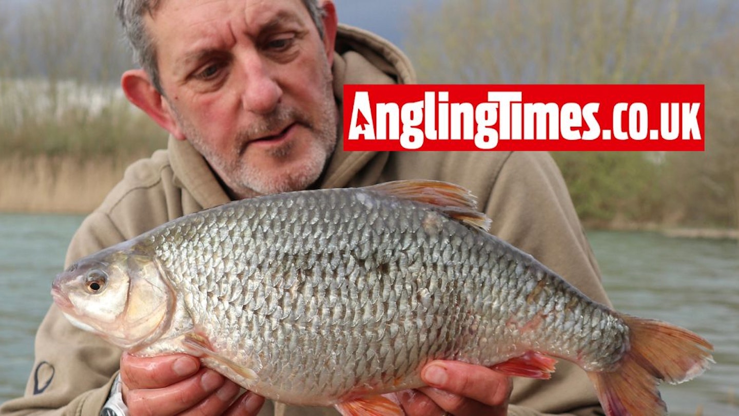 Record-equalling roach banked after run of big fish