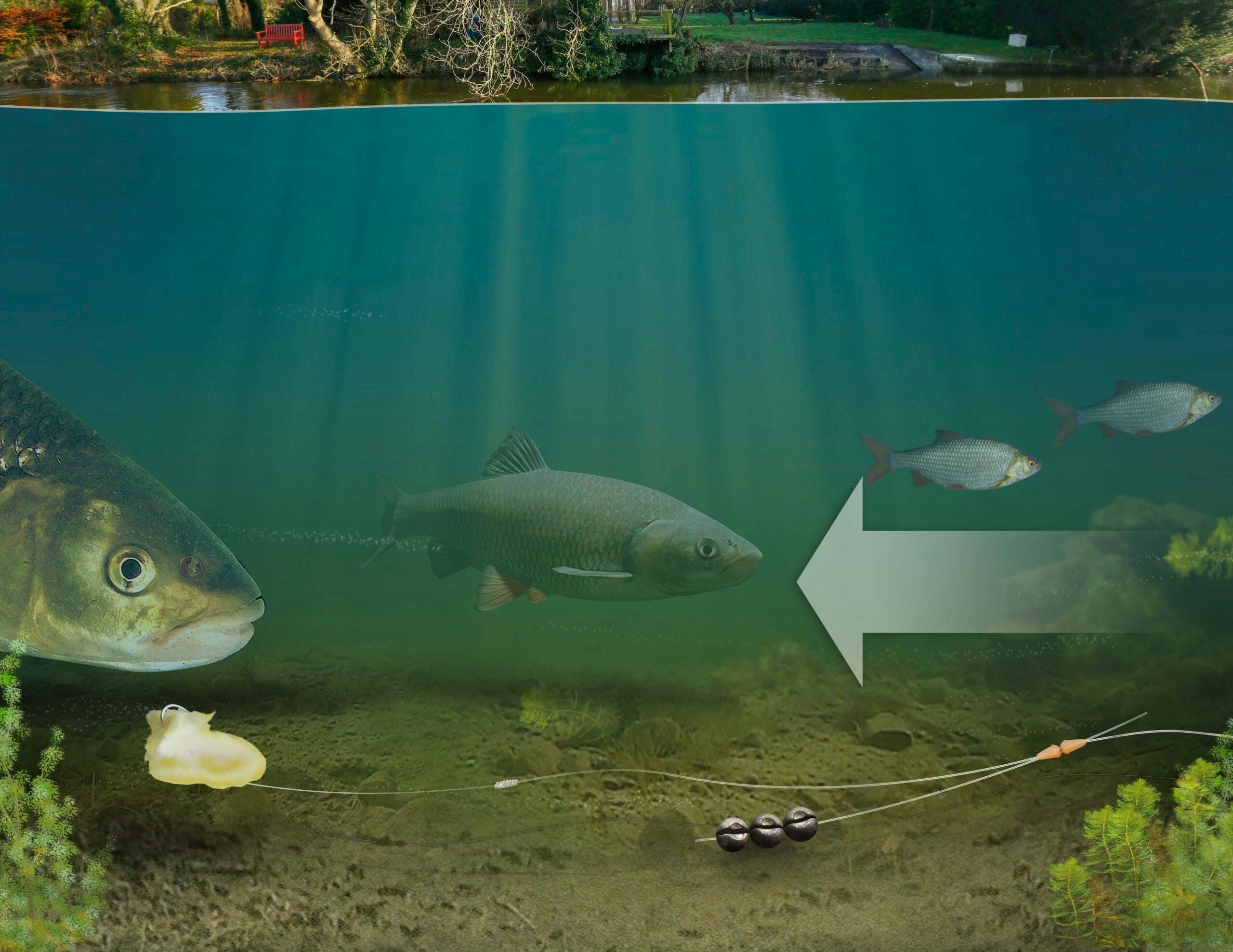 A link-leger is a perfect rig to target chub