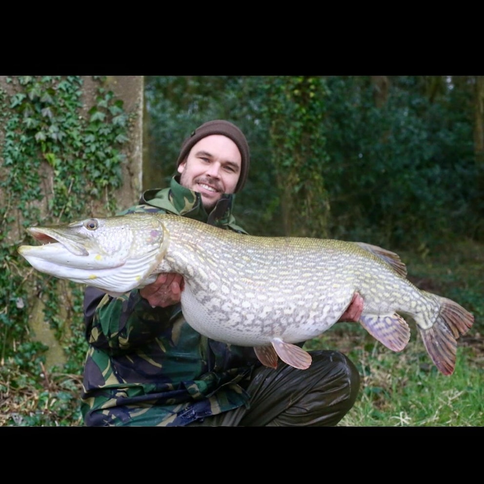 Switch to smaller bait brings bite from yet another huge Chew Valley