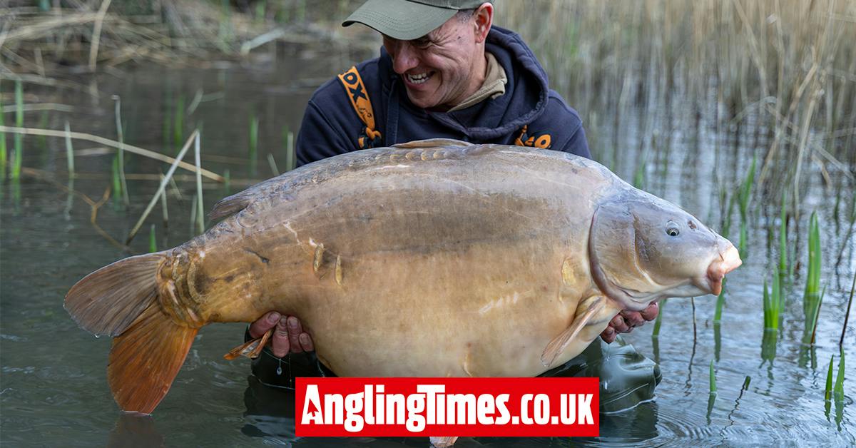 59lb 12oz mirror tops incredible hit of giant UK carp | Angling Times