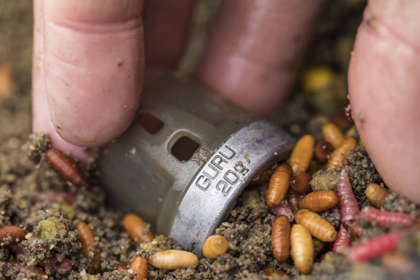 The holes in a feeder will dictate how quickly bait releases.