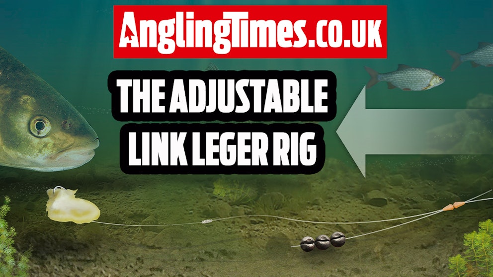 How to tie the adjustable link leger rig | Angling Times