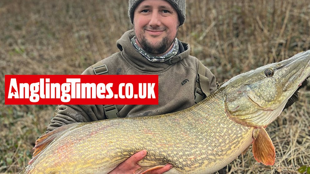 36 Inch Pike Mammoth pike ends blank run on water with only two known fish | Angling ...