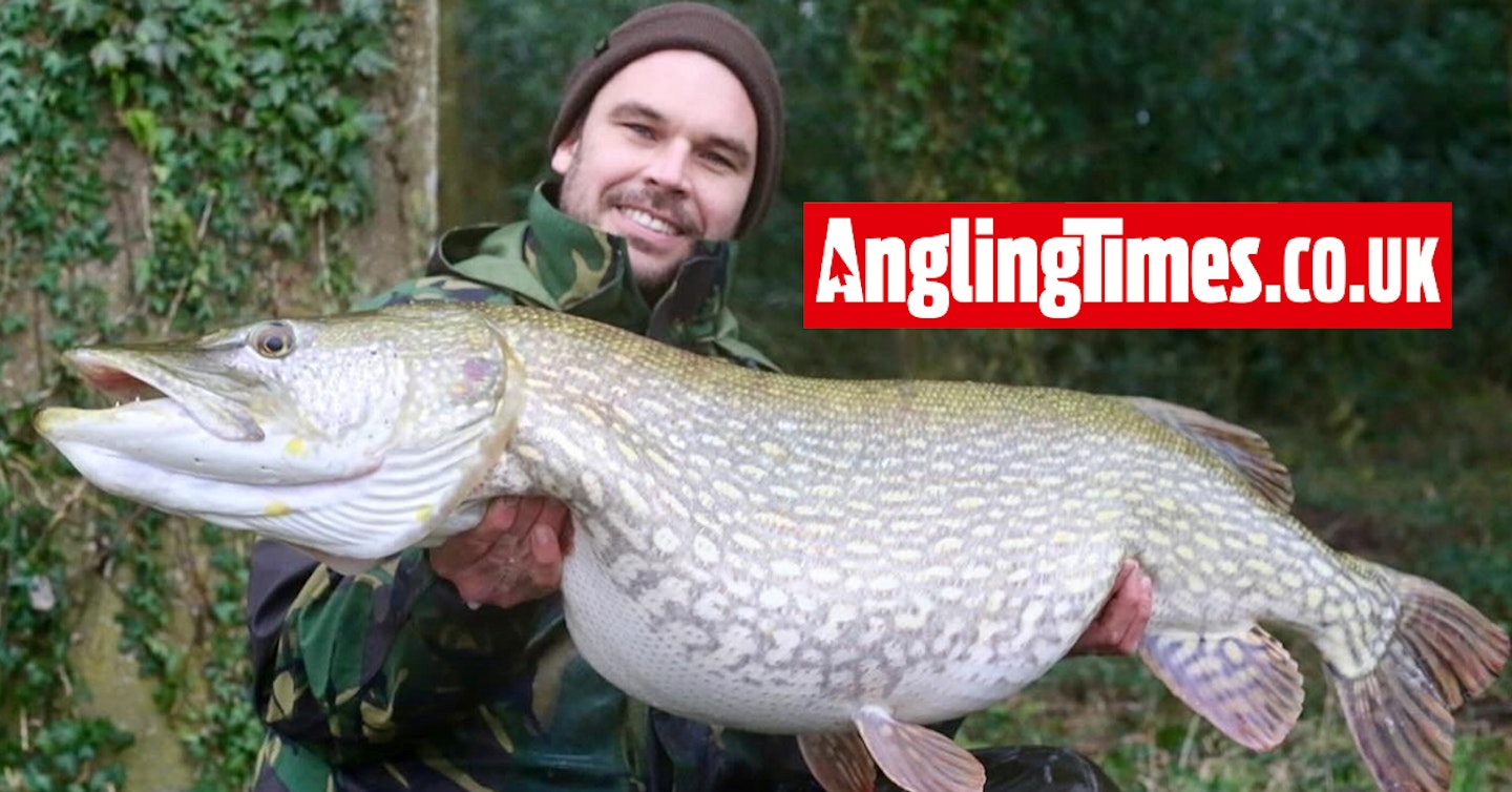 Switch to smaller bait brings bite from yet another huge Chew Valley pike