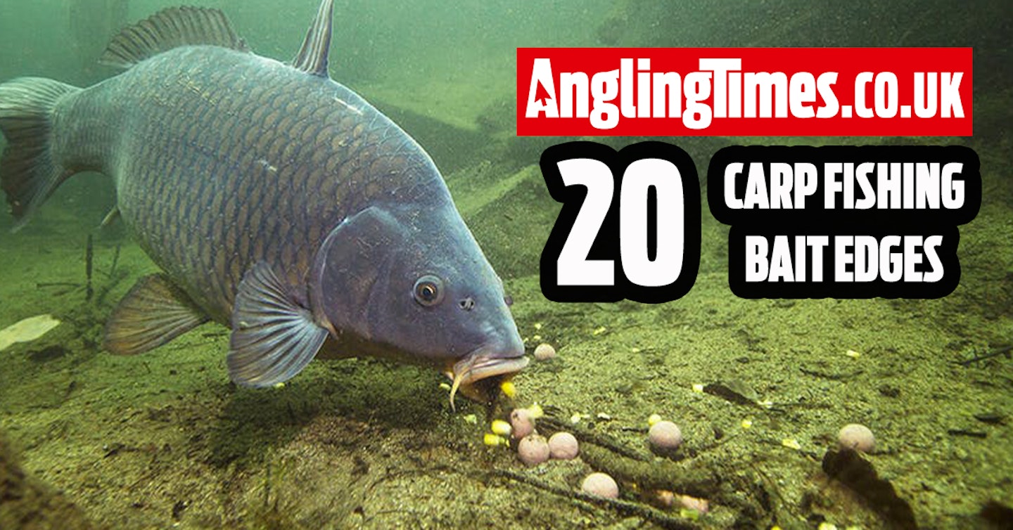 The 20 Best Carp Fishing Bait Edges