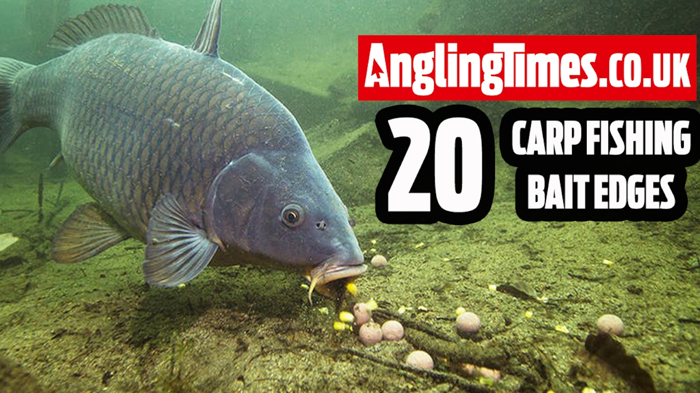The 20 Best Carp Fishing Bait Edges