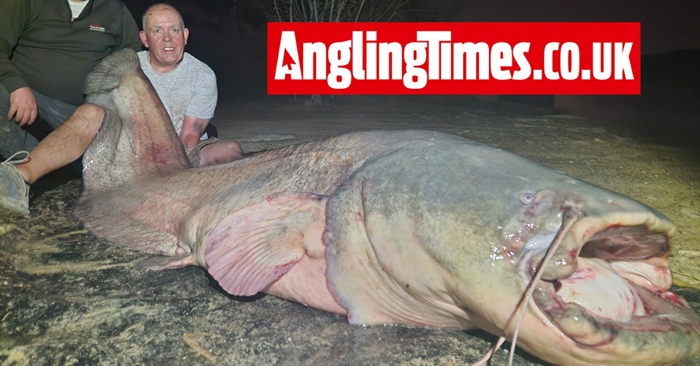 Monster 250lb beast is 'third biggest catfish ever landed by a