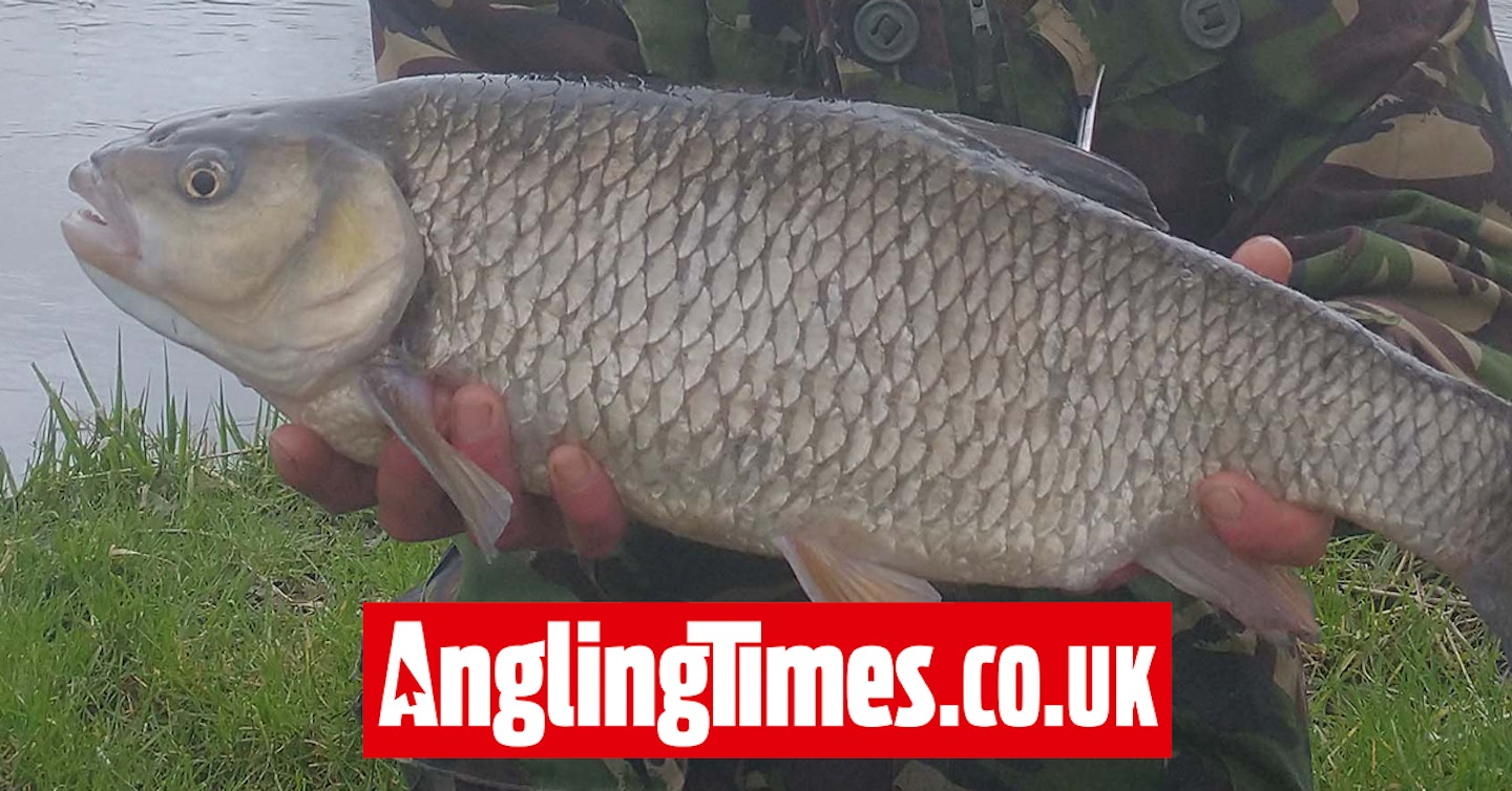 Angler in ‘total disbelief’ with size of River Kennet chub