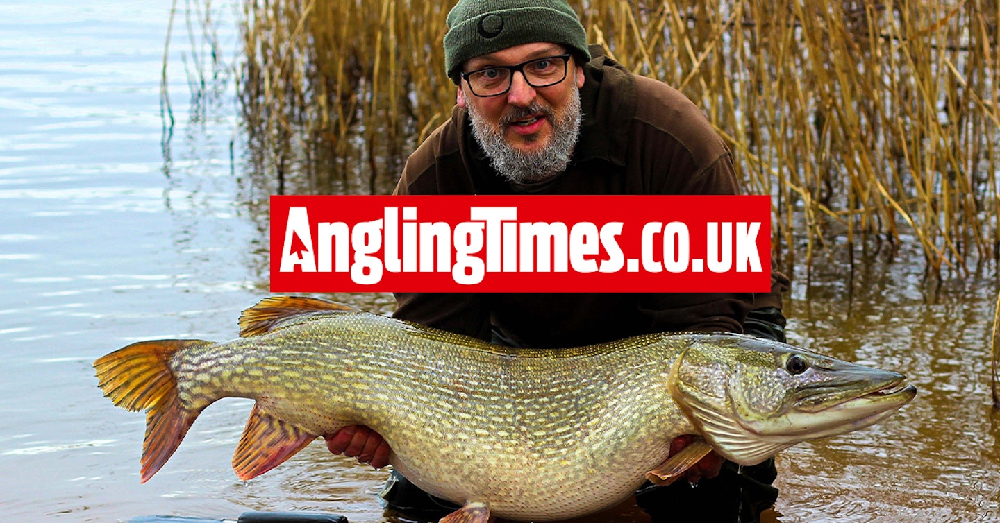 Calamity unfolds in netting of giant pike