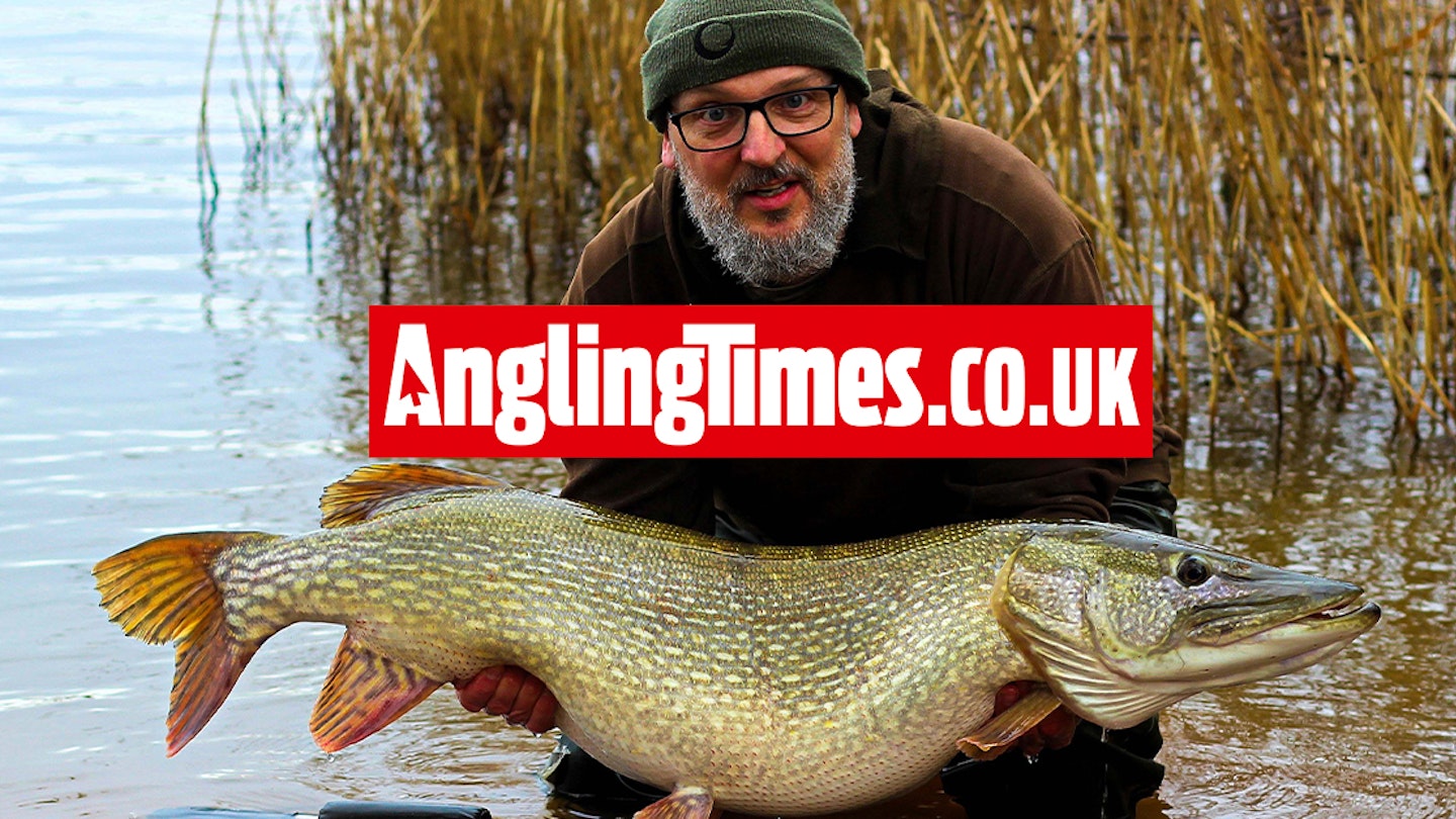 Calamity unfolds in netting of giant pike