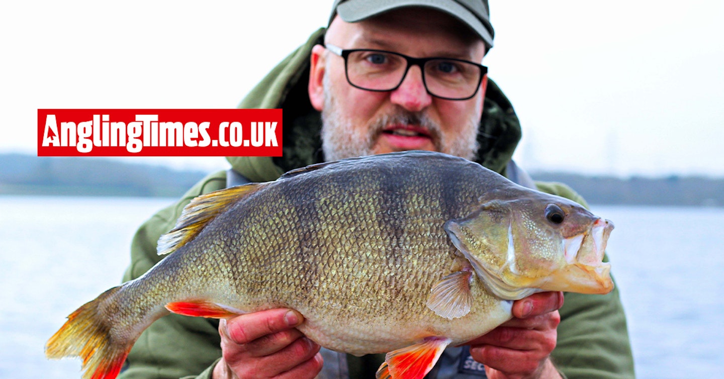Angler finds ‘the mother lode’ of giant perch on local reservoir