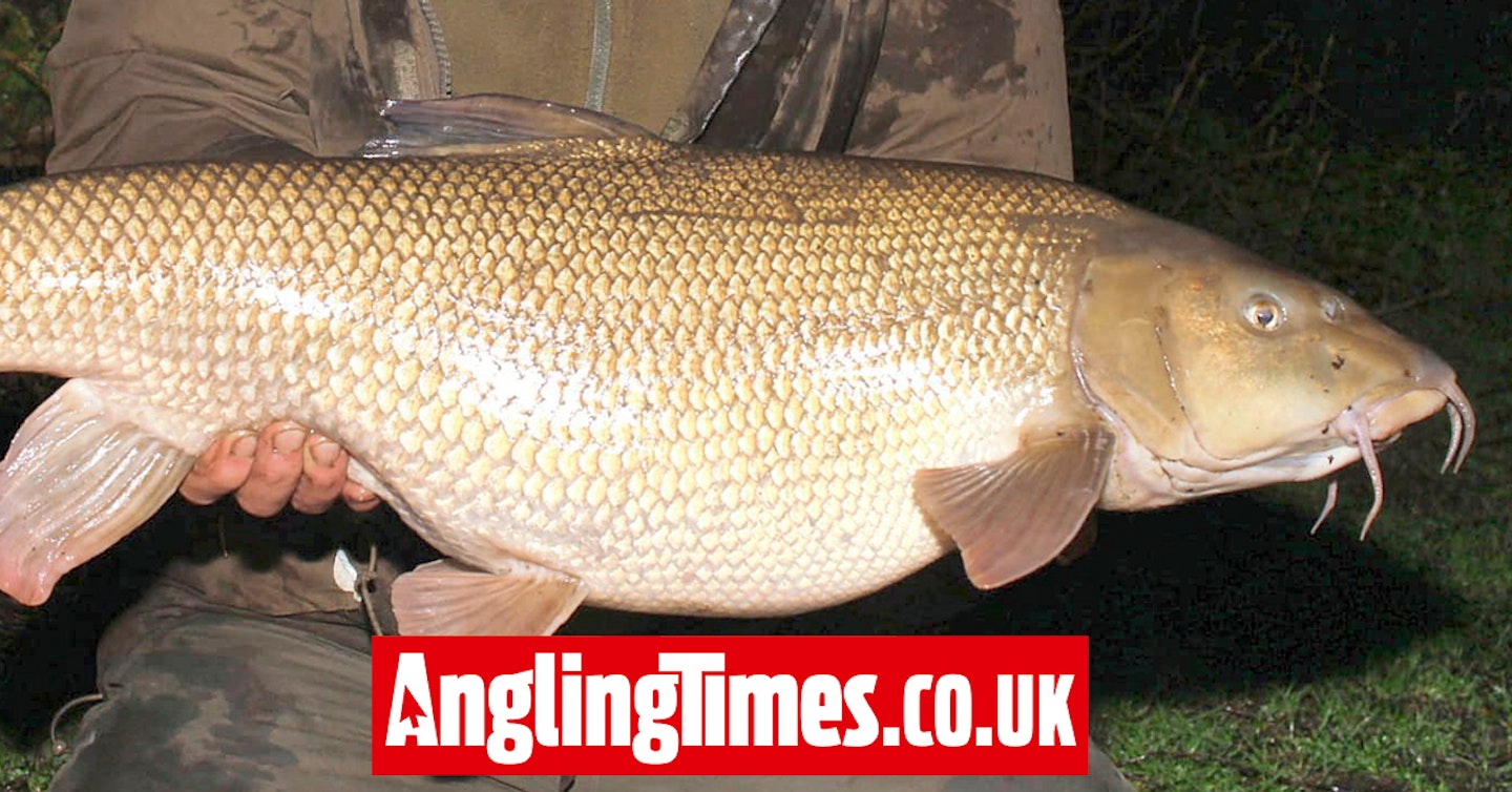 Phil does the monster barbel double on ‘trundled bait’