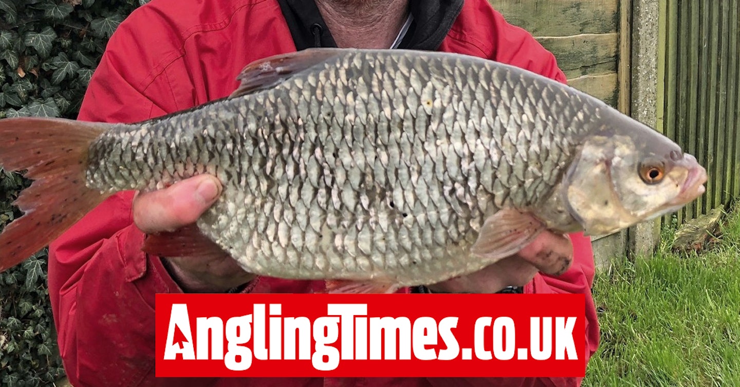 Angler left shaking after catching ‘biggest roach he’s ever seen’ from Midlands river