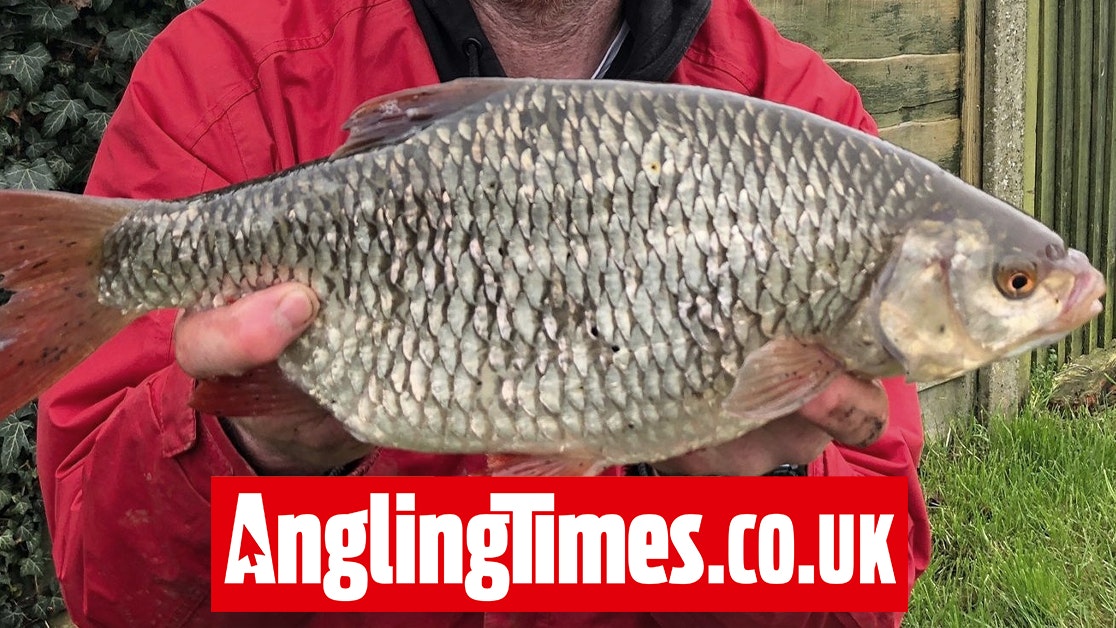 Angler left shaking after catching ‘biggest roach he’s ever seen’ from ...