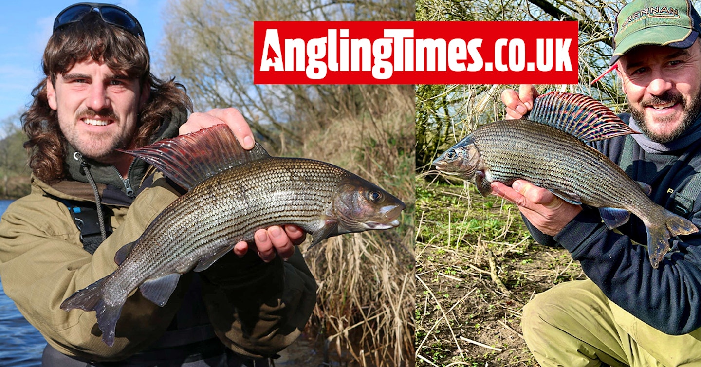 Anglers flock to Scotland to experience superb grayling fishing
