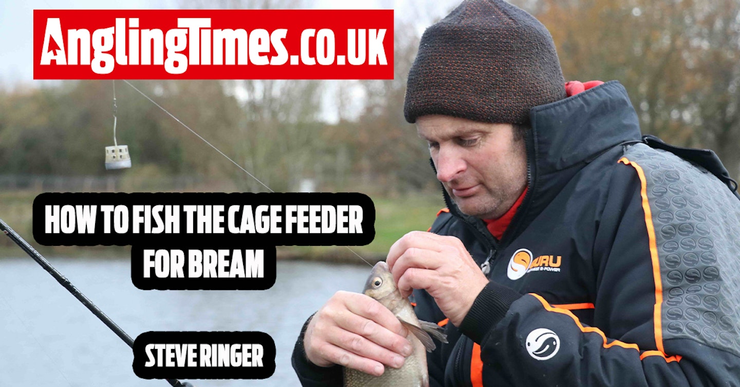 How to use the cage feeder for bream | Steve Ringer
