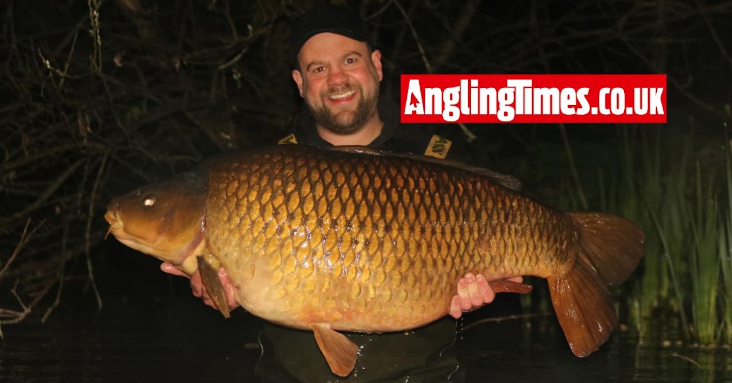 Biggest common ever banked in UK after 9 month absence
