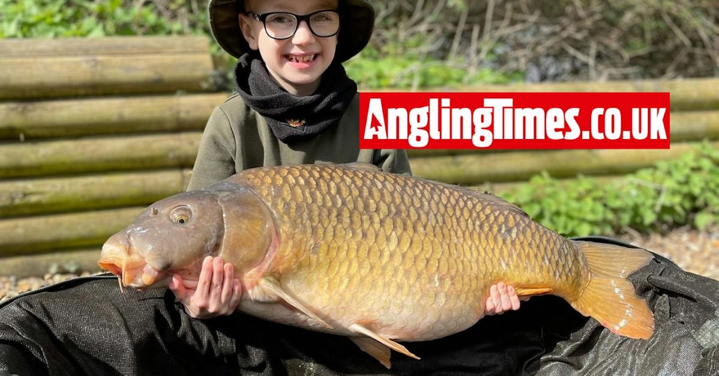 Seven-year-old banks 31LB common