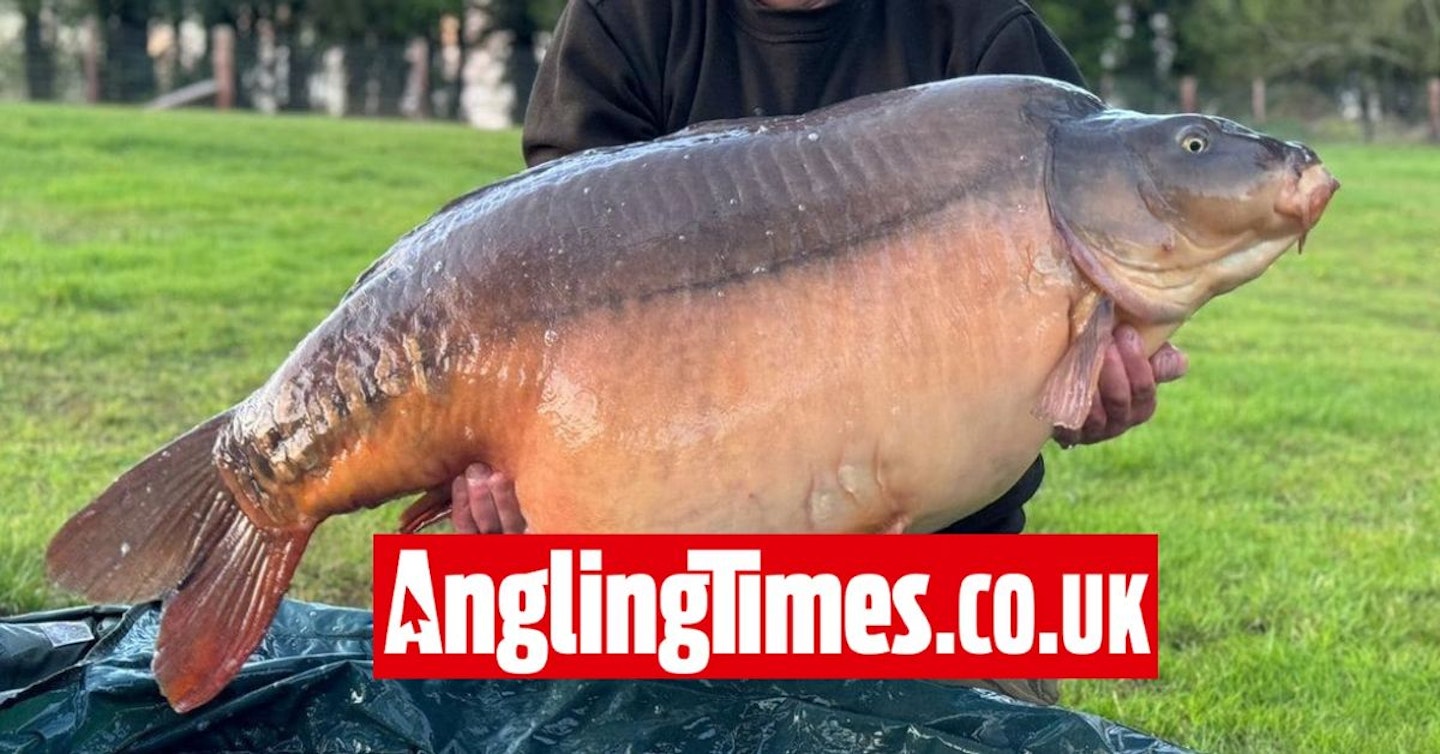 Angler lands third UK 60lb carp from the same venue