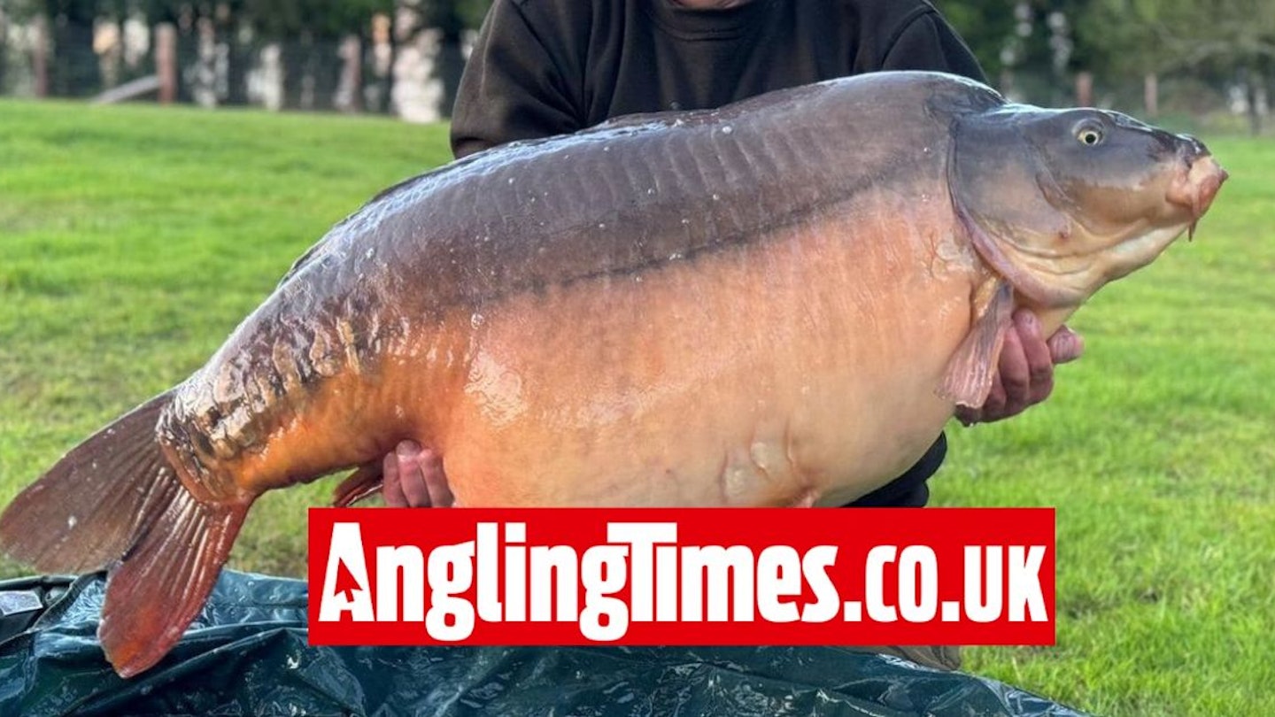 Angler lands third UK 60lb carp from the same venue