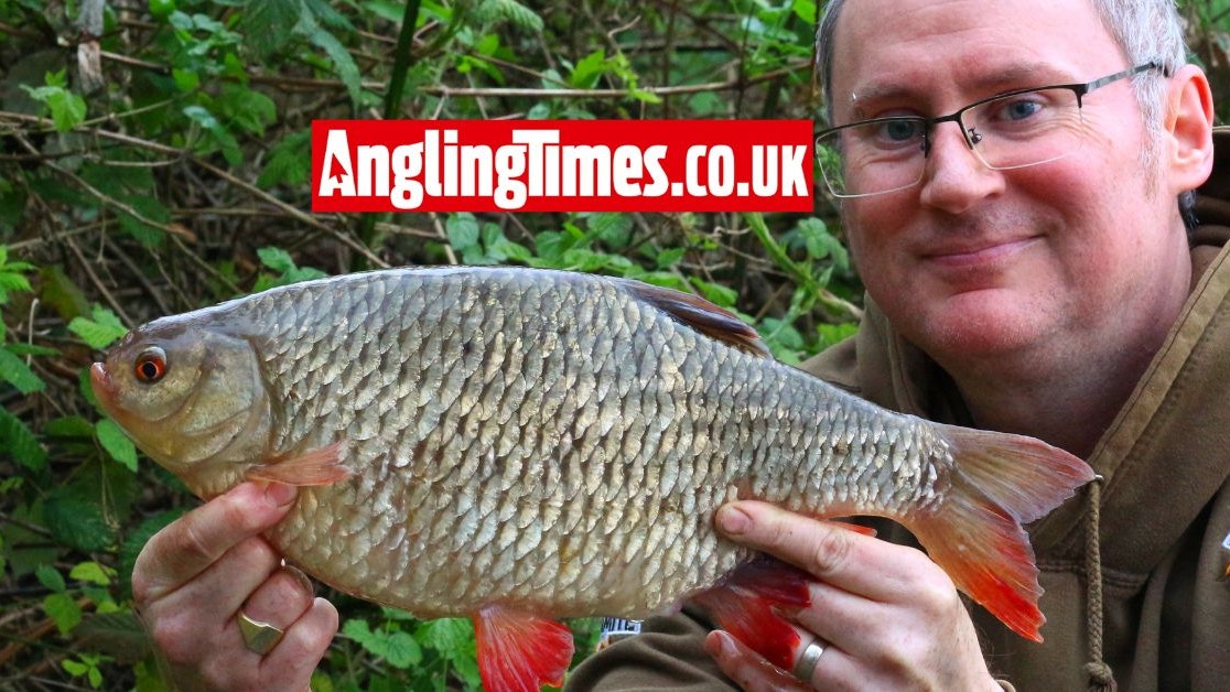 Huge early season rudd landed | Angling Times