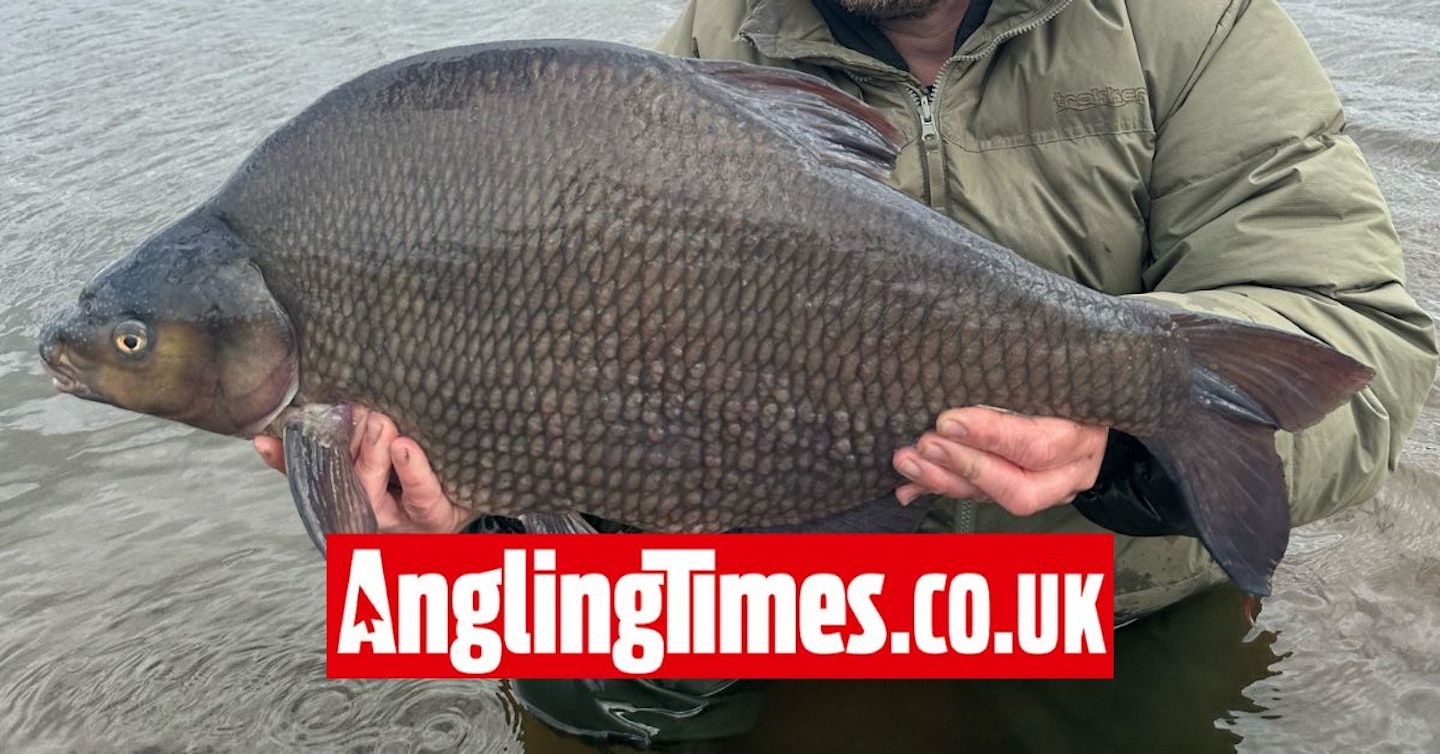 Two sessions on two venues equals two massive bream