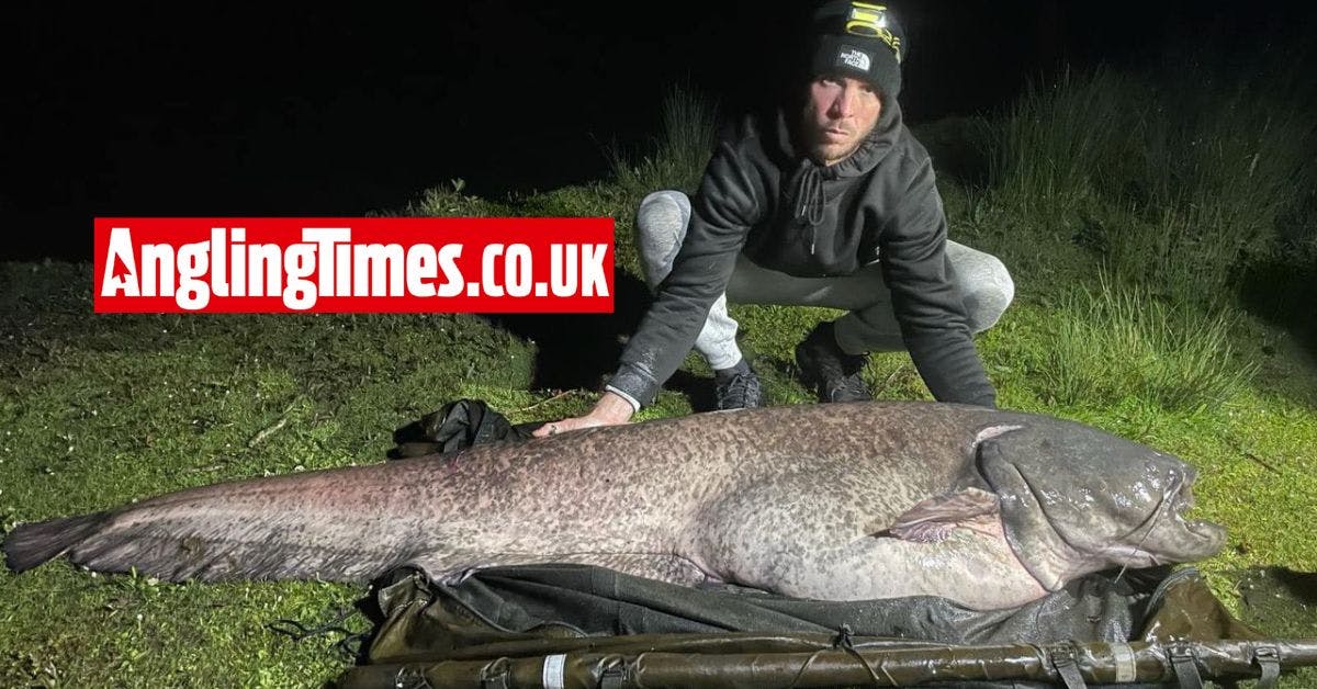 Monster catfish banked after 50-minute battle | Angling Times