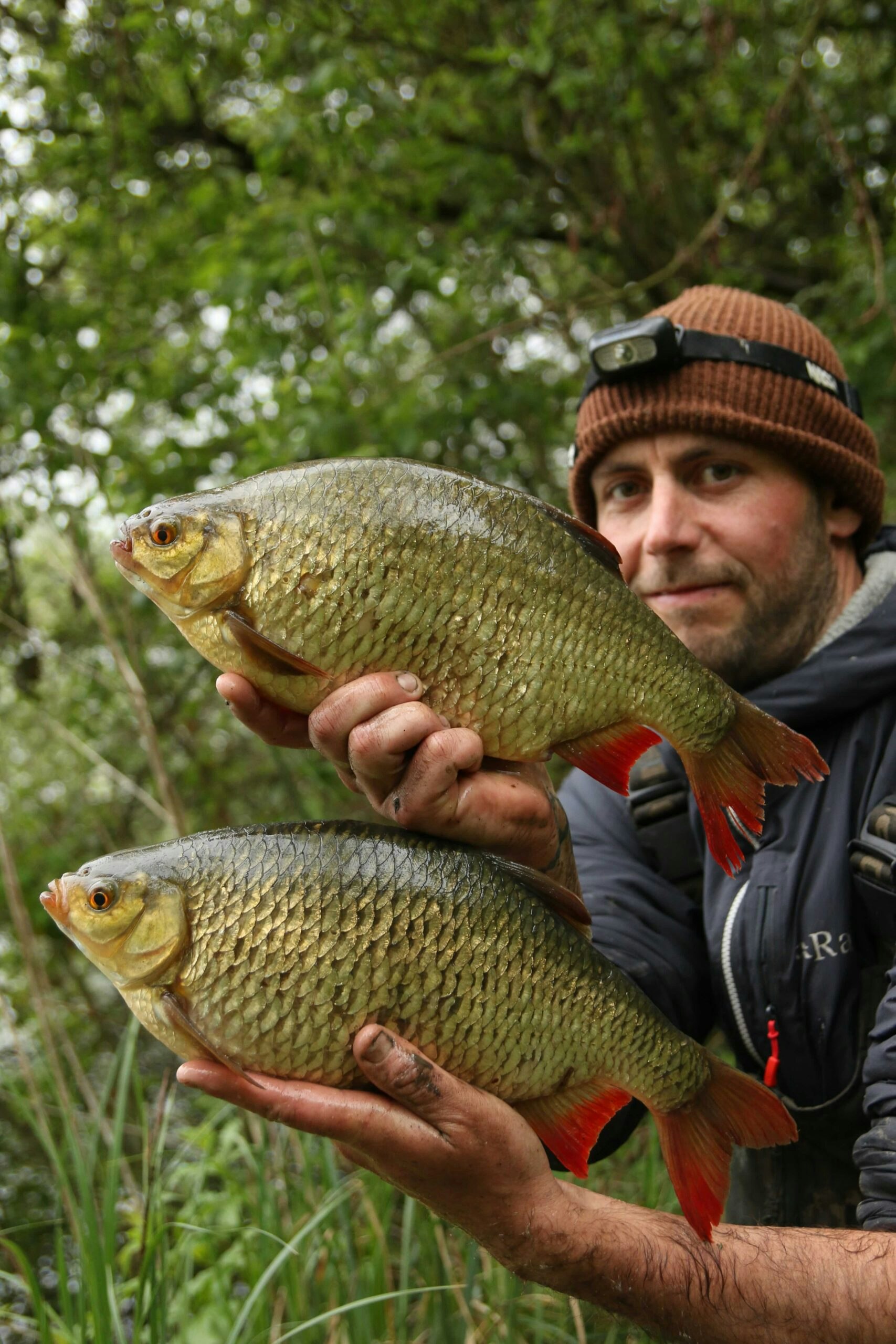 A matching pair of 3lb 4oz rudd in a single session!