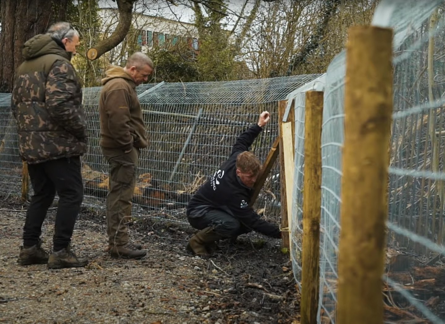 Fencing is a great solution to solving many types of predation!