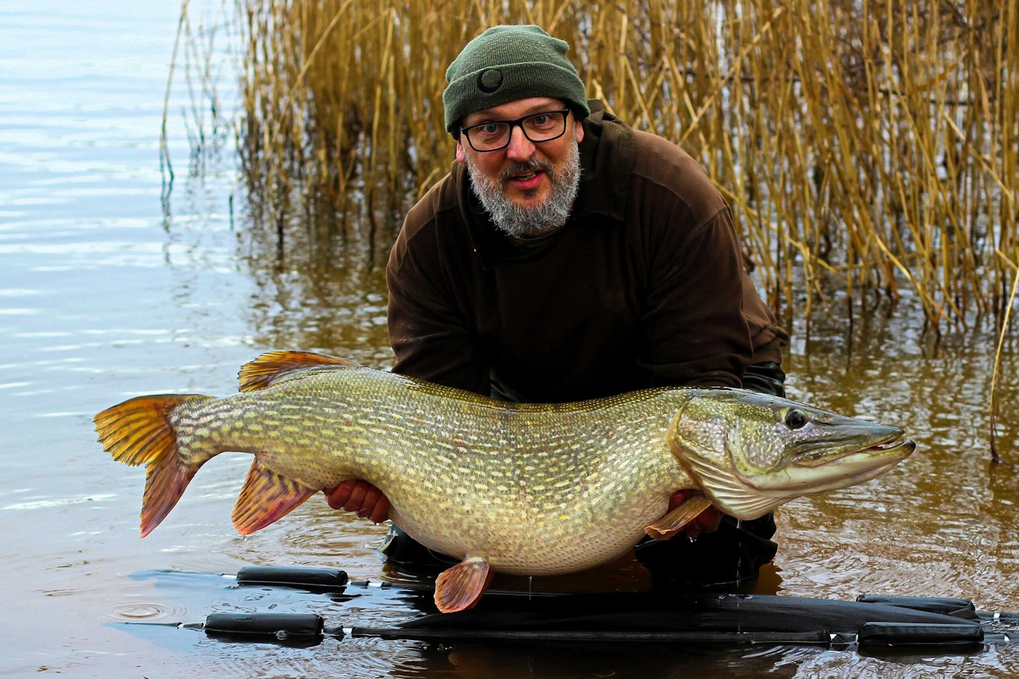 Paul showcasing this beautiful 37lb 1oz pike.