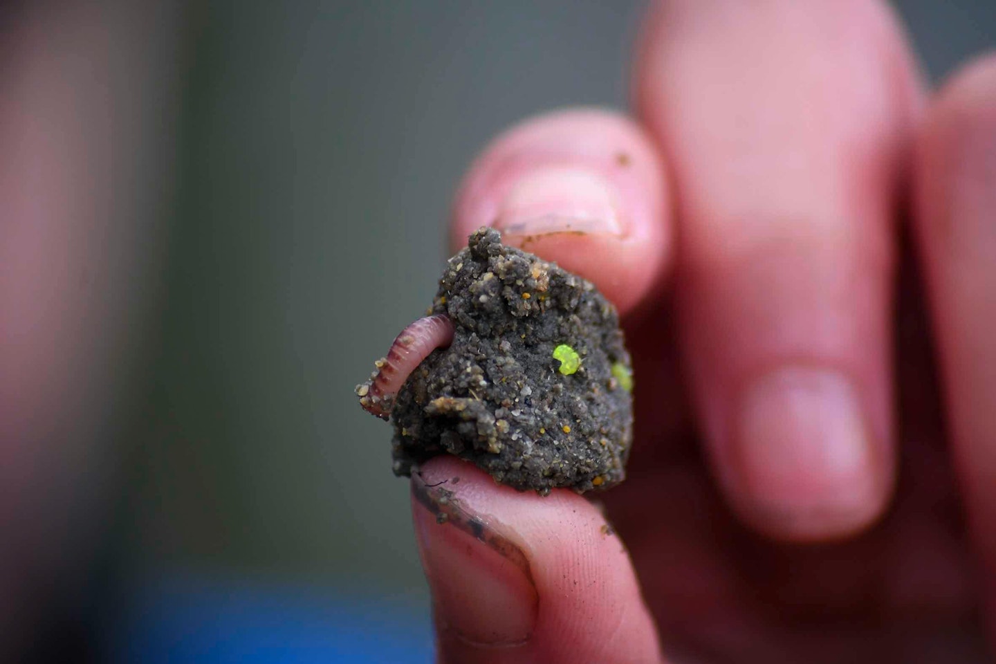 Little nuggets of bait can attract fish back into the area.