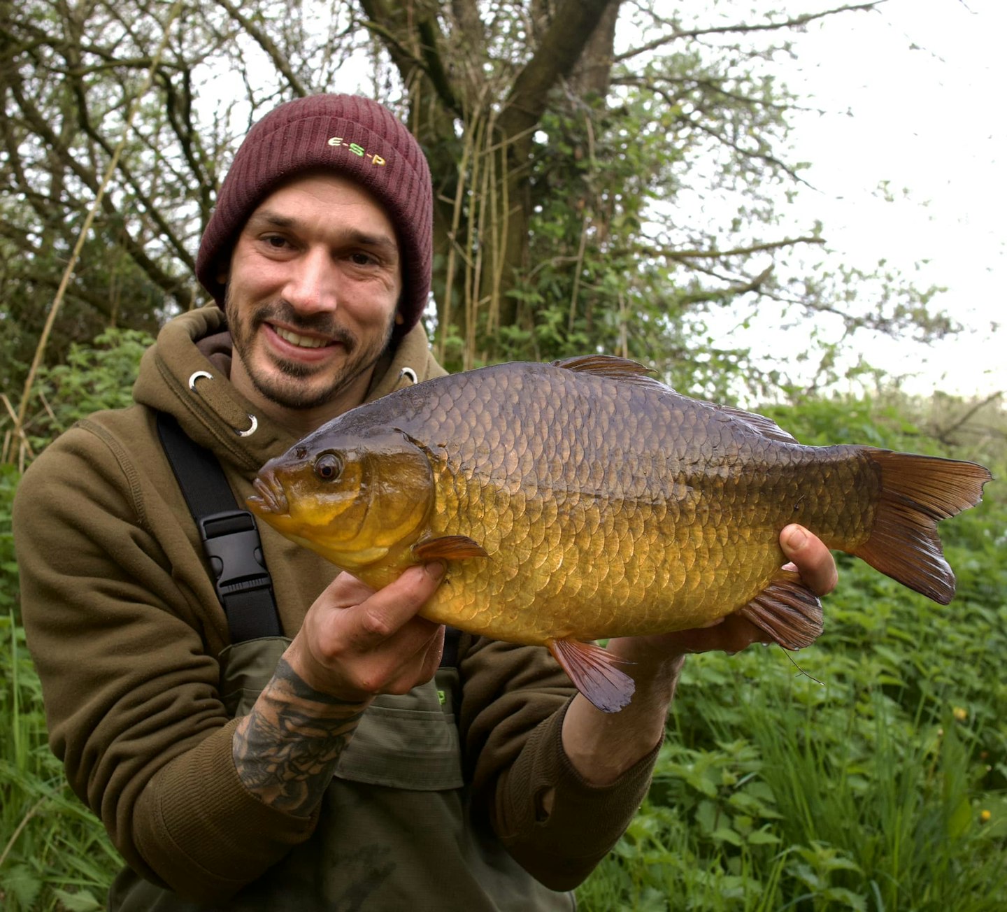 Crucian carp like this can be caught using a method feeder.