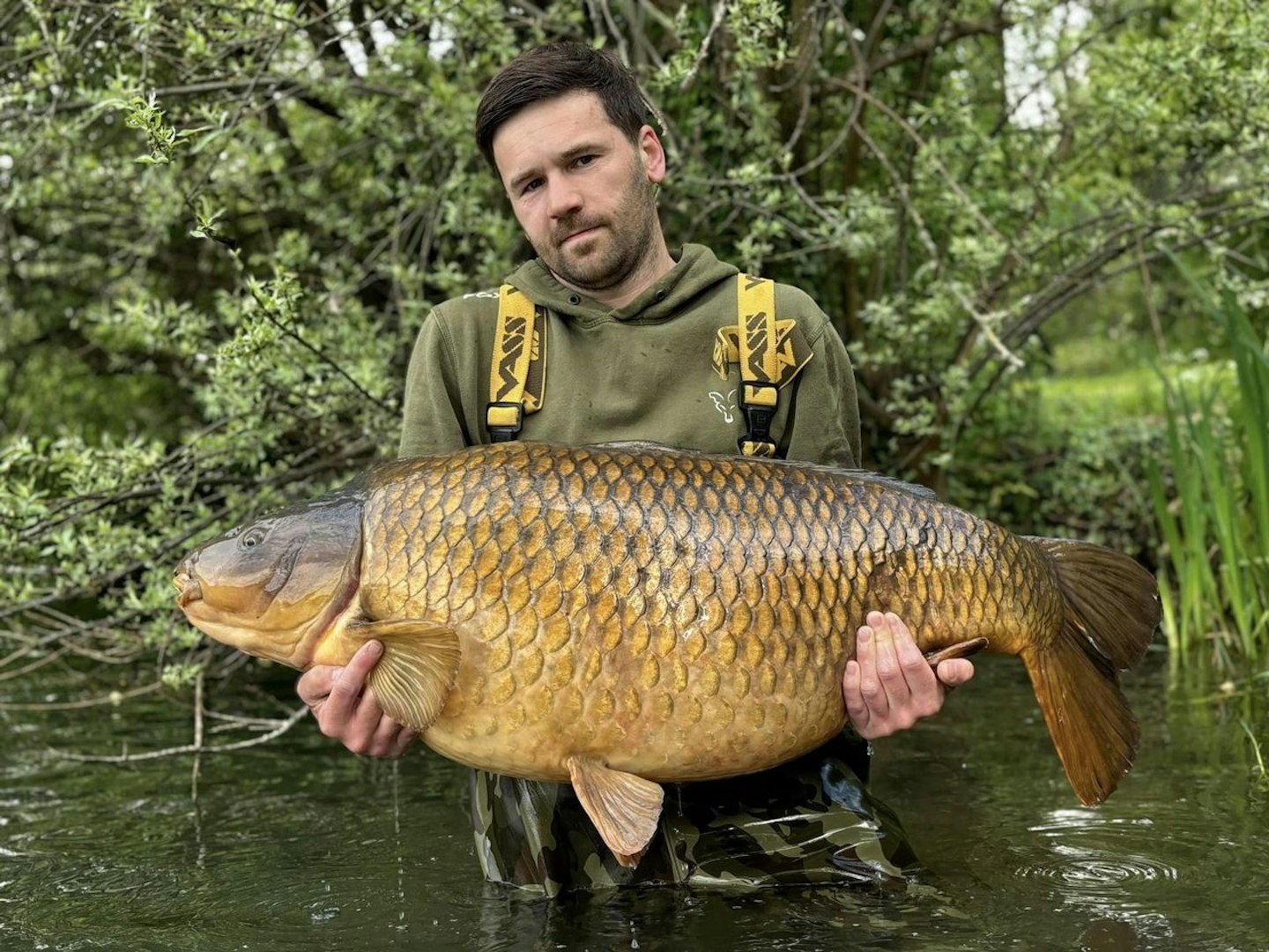 All 68lb of the biggest common carp in the country.