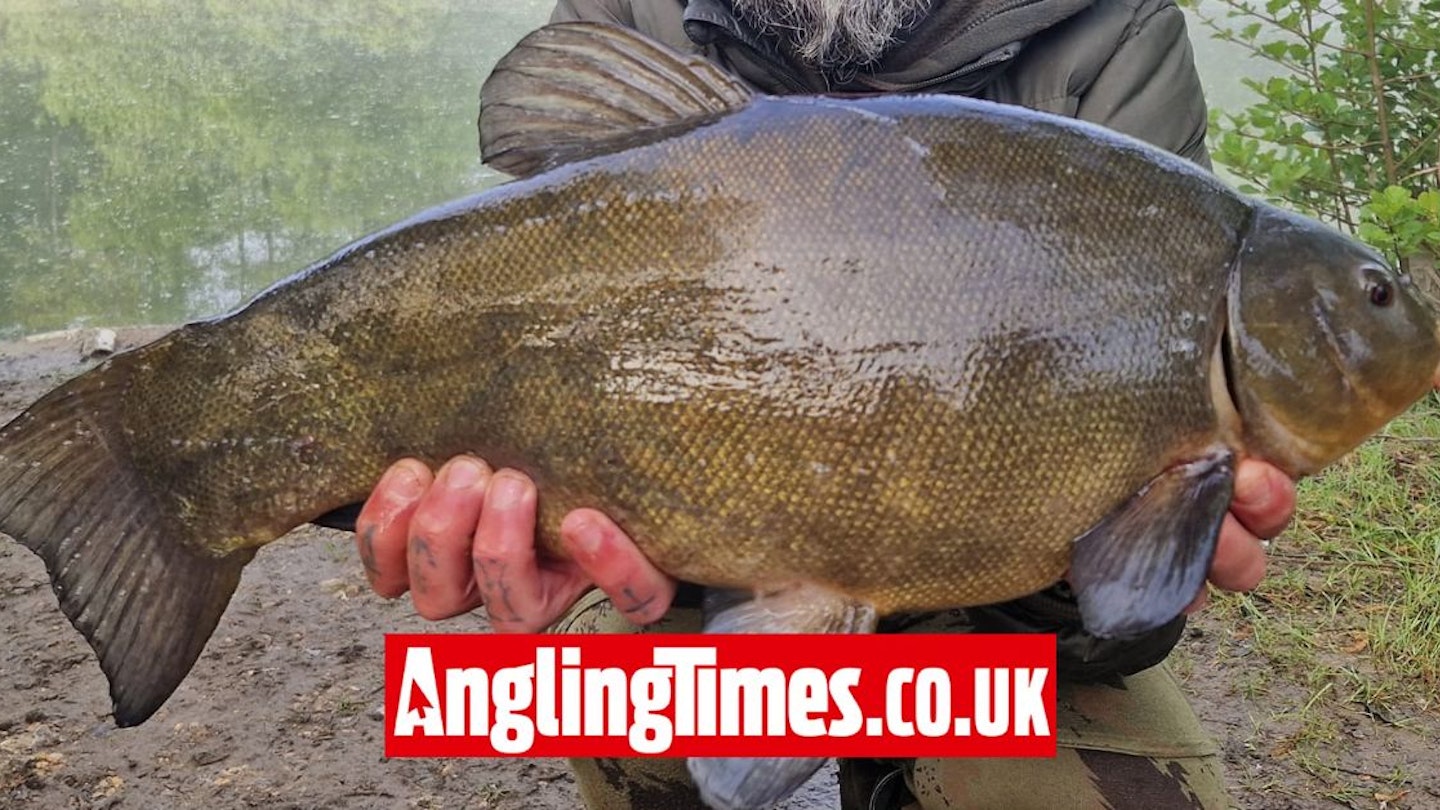 Tench PB smashed twice in the same session