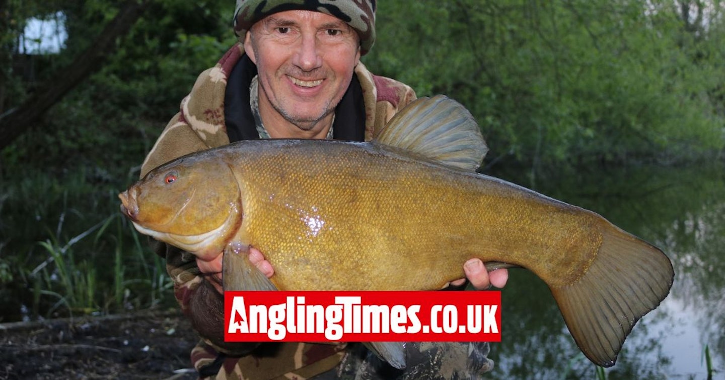 Now is the time to be a tench angler