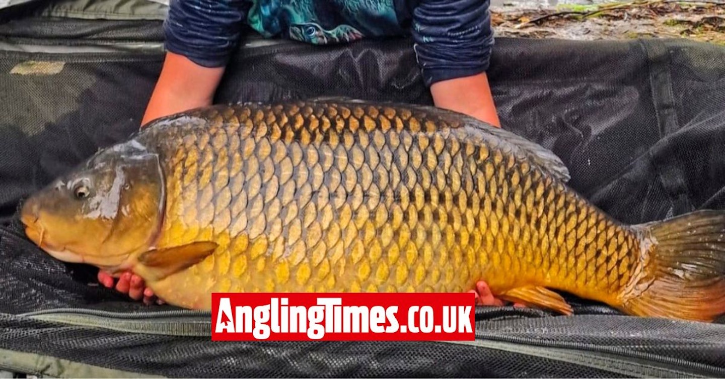 Huge surprise carp for nine-year-old angler