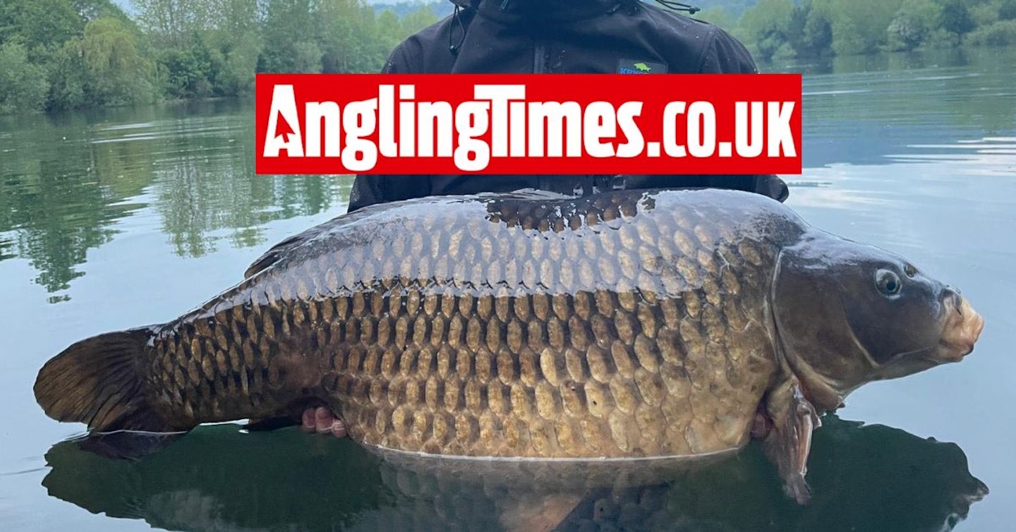 Yorkshire 50lb carp caught ‘off the top’
