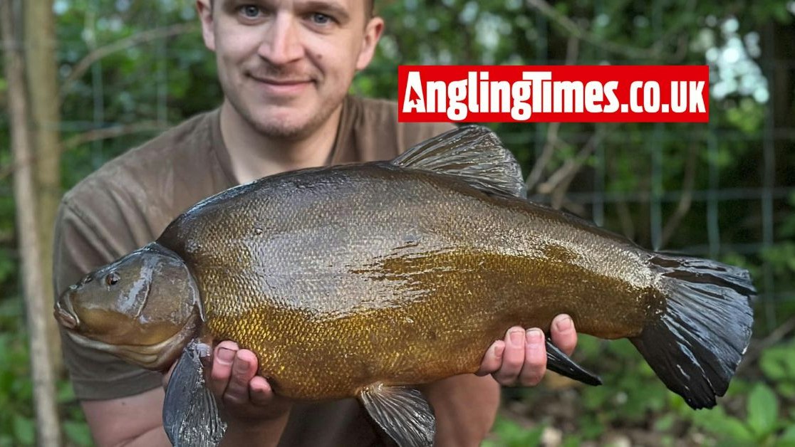Big Tench Rigs Carp tactics leads to huge tench | Angling Times