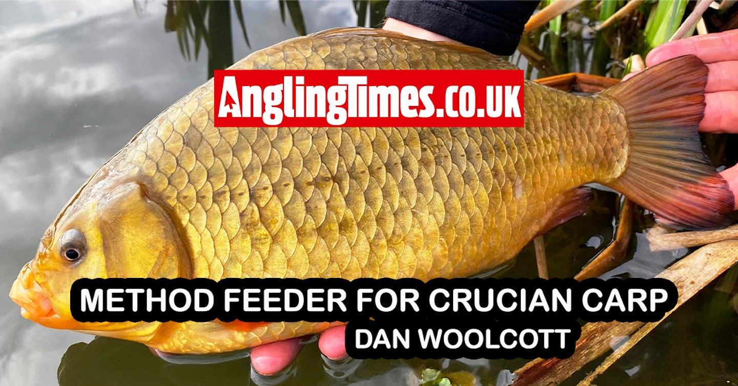 Method feeder for crucian carp | Dan Woolcott