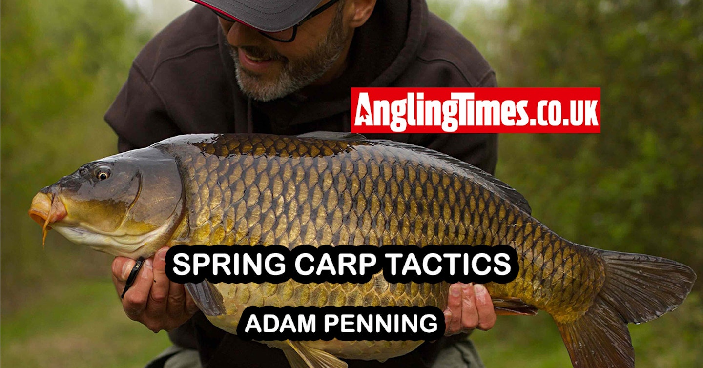 Spring carp tactics | Adam Penning