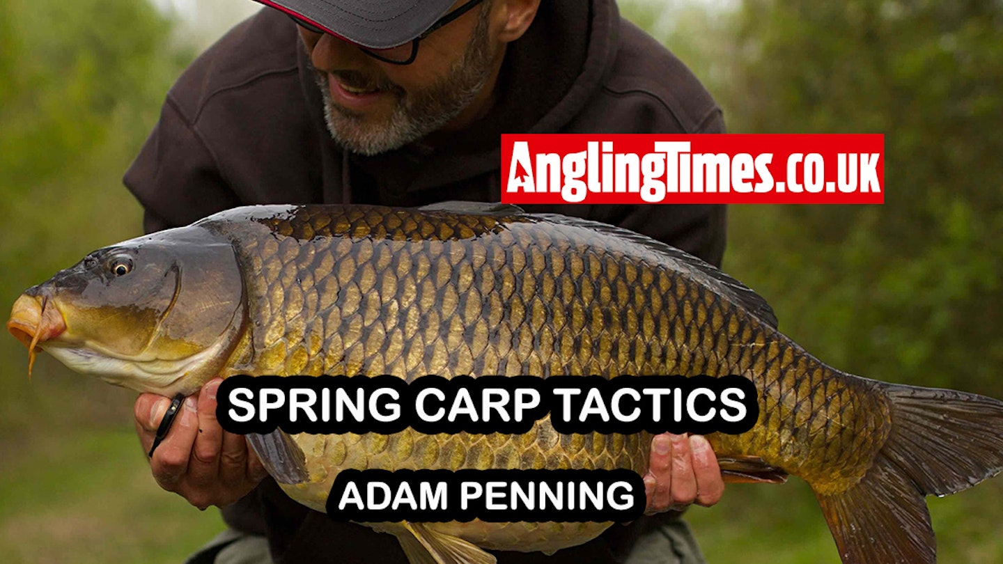 Spring carp tactics | Adam Penning
