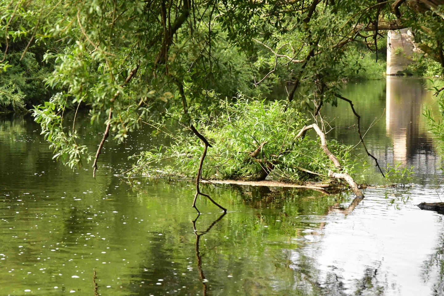 Snags are fish magnets but they must be fished safely.