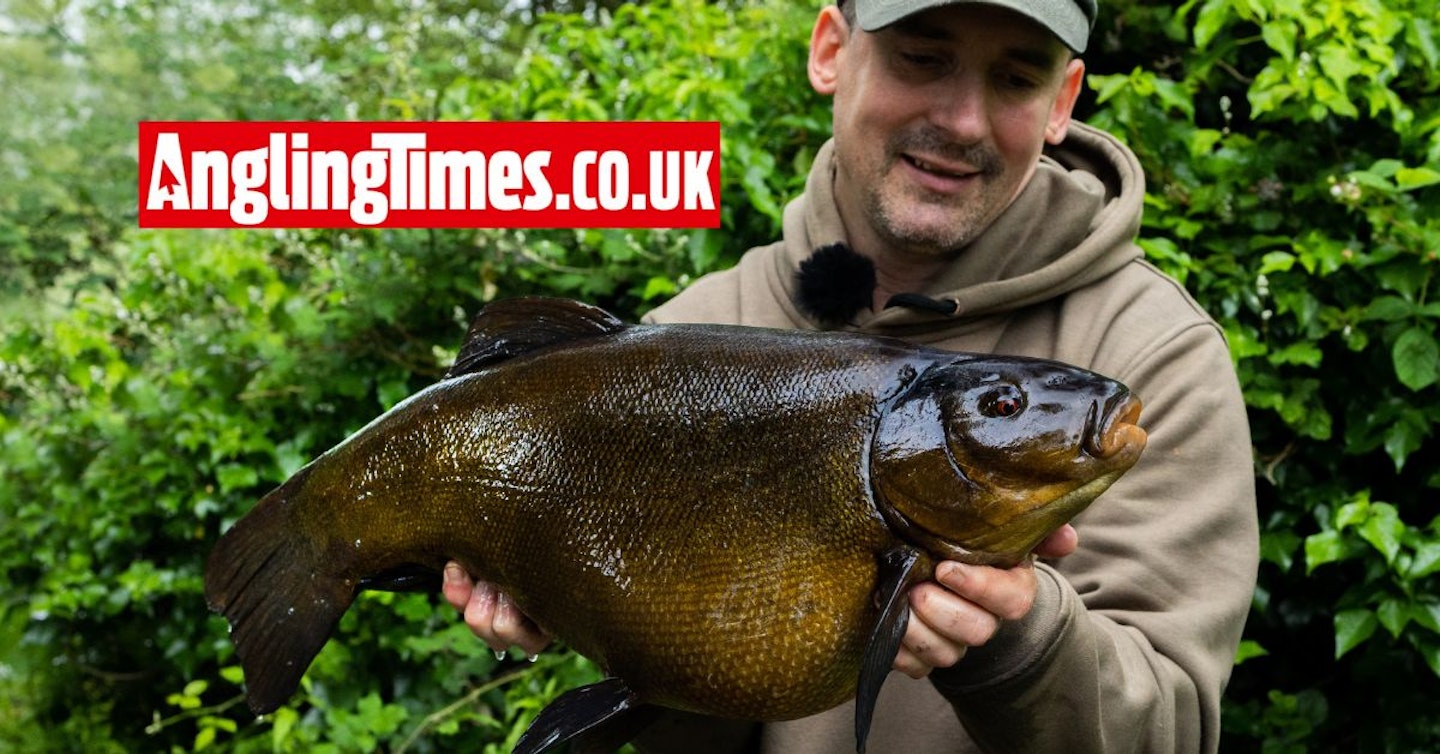Huge tench smashes PB of former Drennan Cup champ