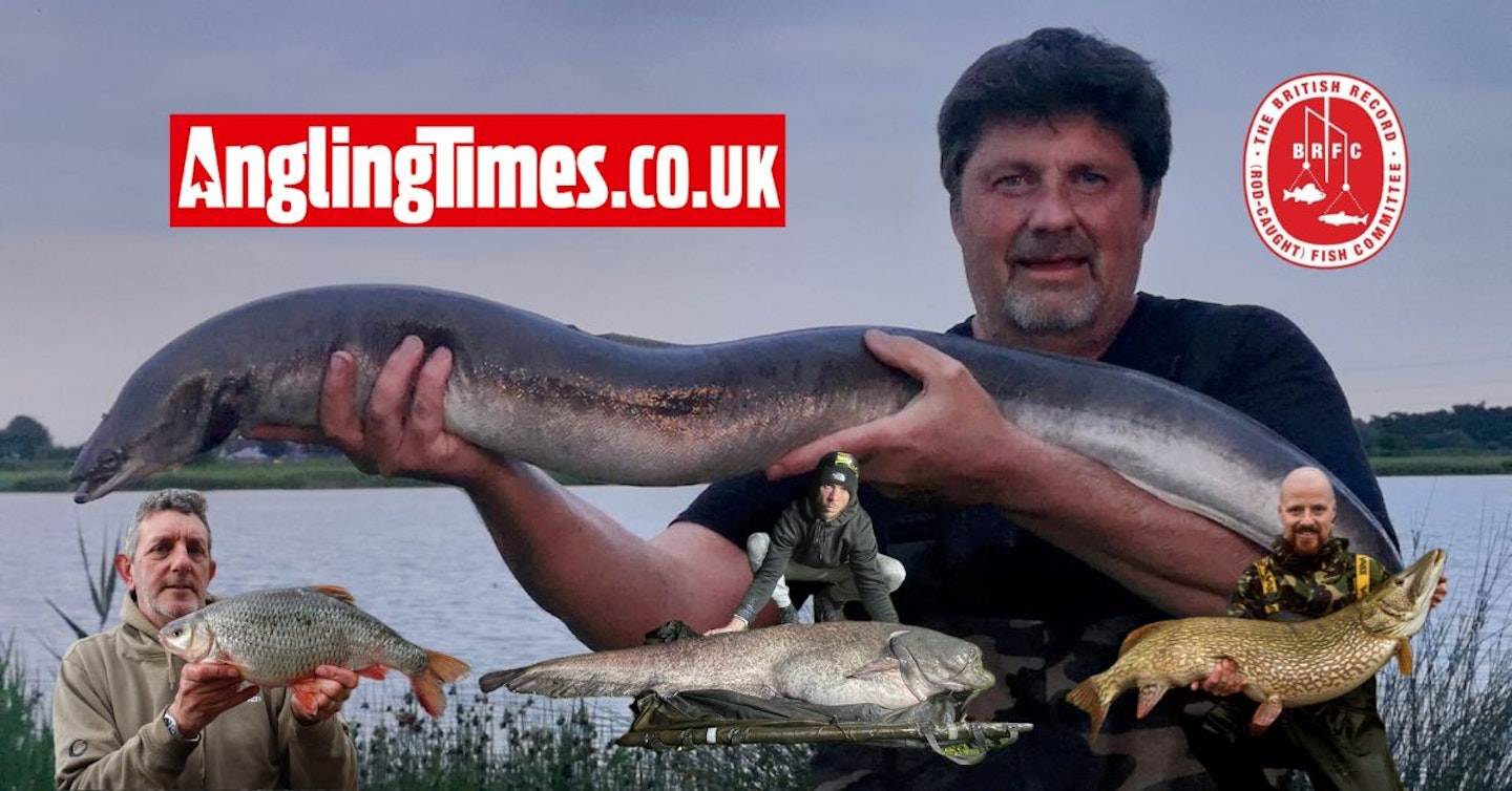 Four new British record fish and it’s only June