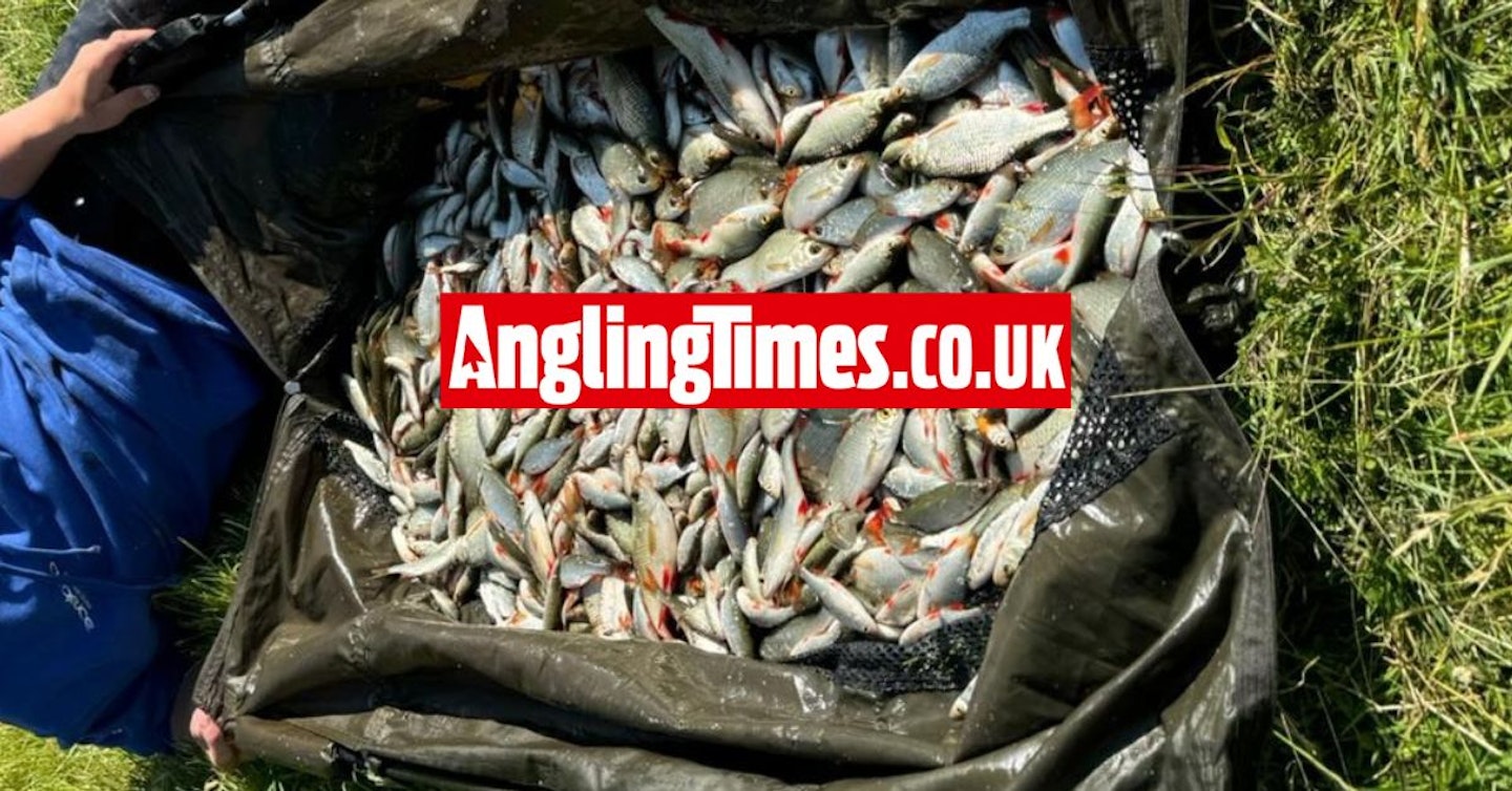 Angler catches 1040 fish in five hours