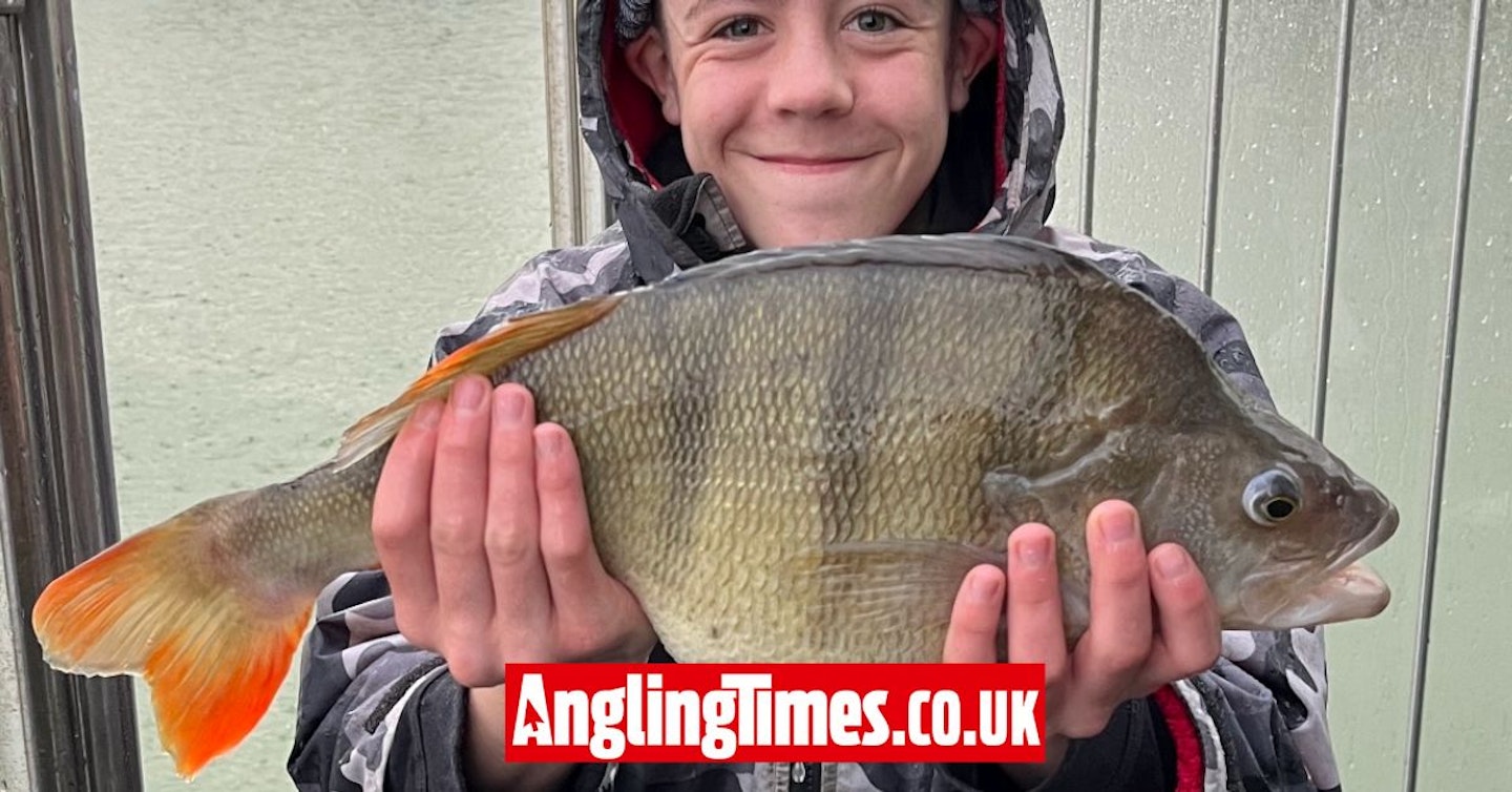 Enormous perch landed by 14-year-old