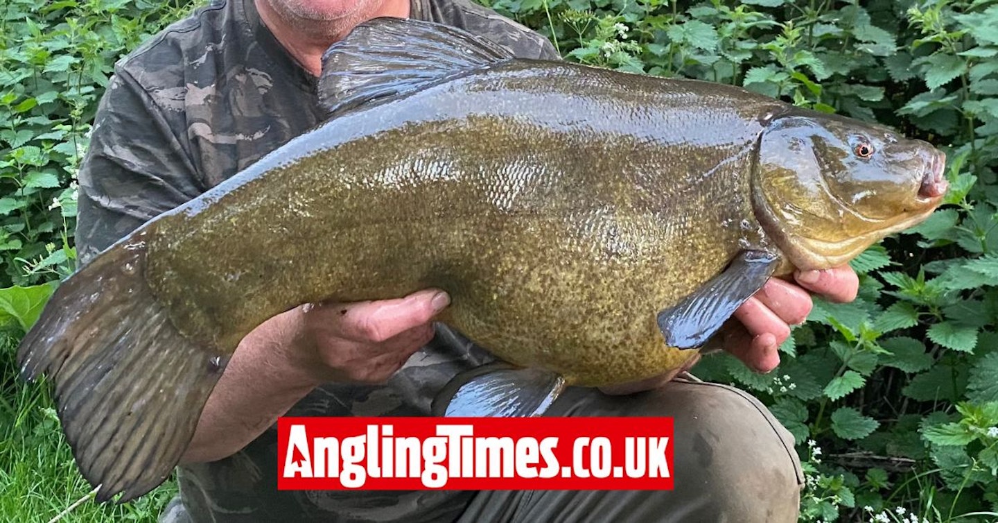 10000 miles and 31 night blank leads to superb tench capture