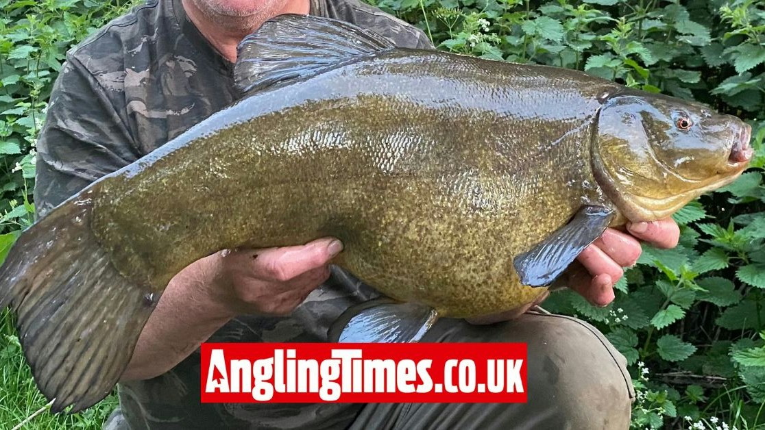 Tench Rake 10000 miles and 31 night blank leads to superb tench capture | Angling ...