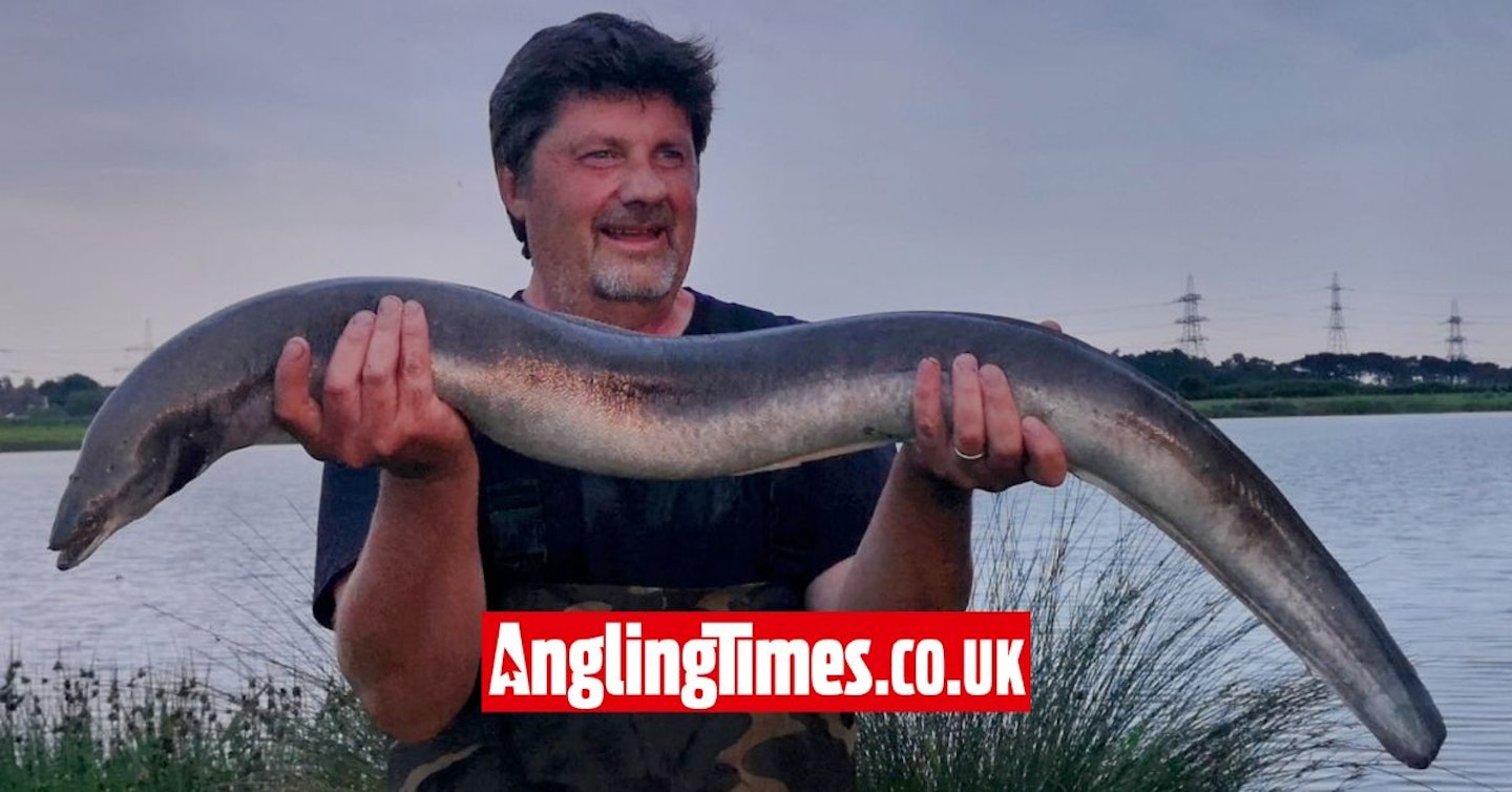 How the British record eel was caught